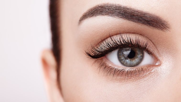 Discover The Best Professional Lash Lift Kits for All Beauty Professionals