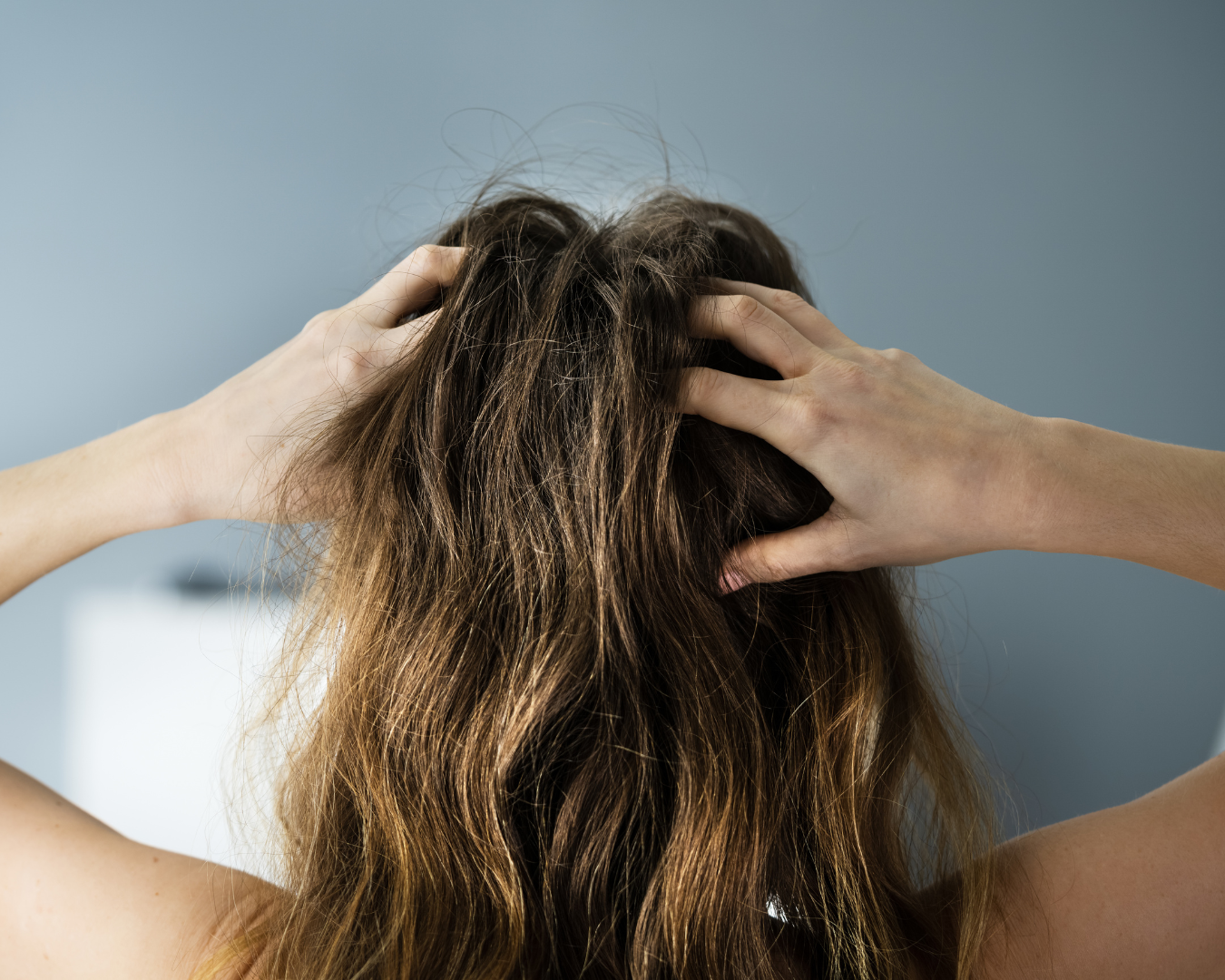 Healthy Hair Starts with a Healthy Scalp!