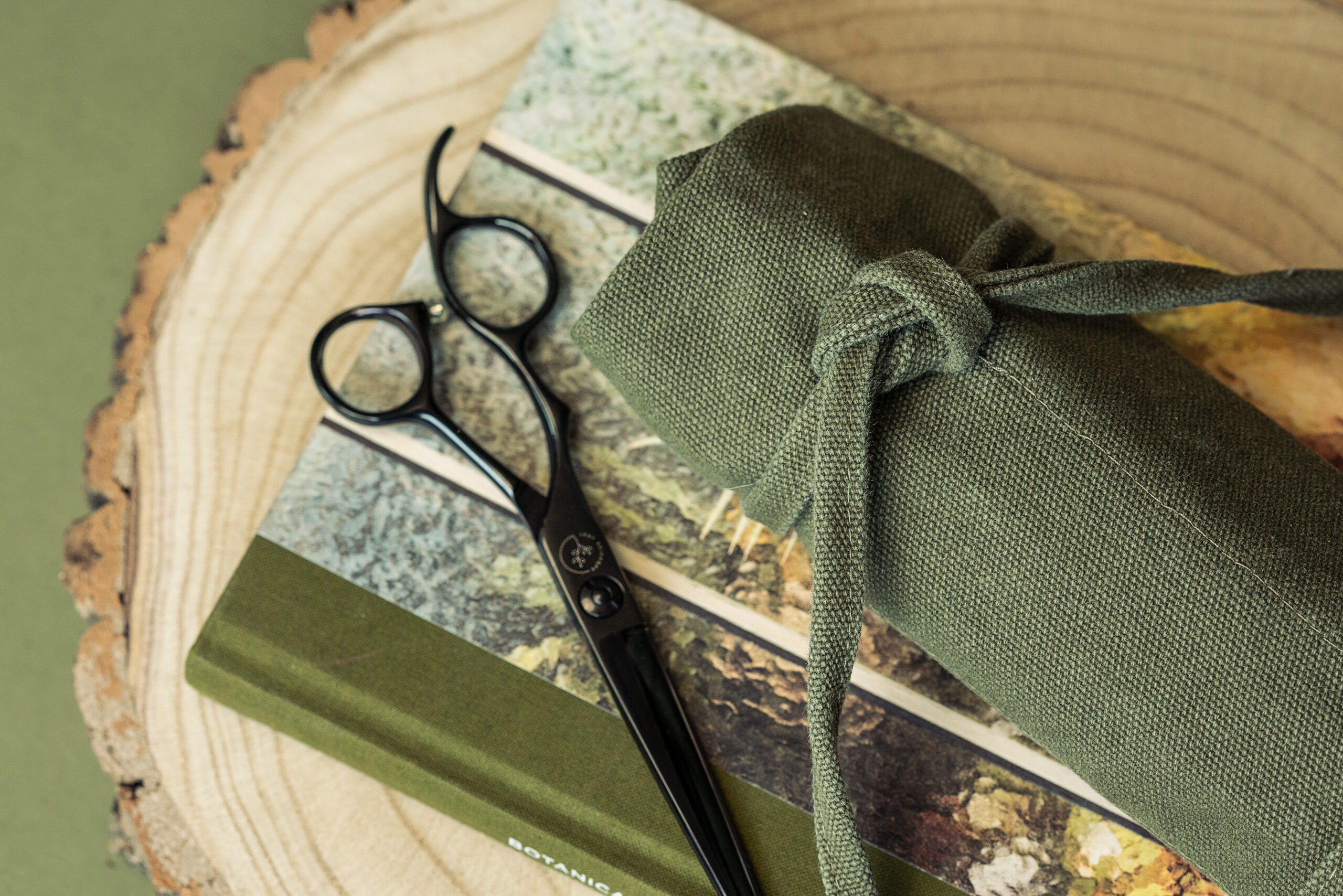 Everything You Need To Know About Leaf Scissors