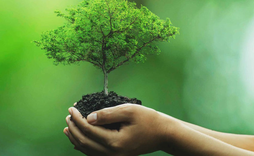 Eco-Friendly Swap Outs That You Need in Your Salon
