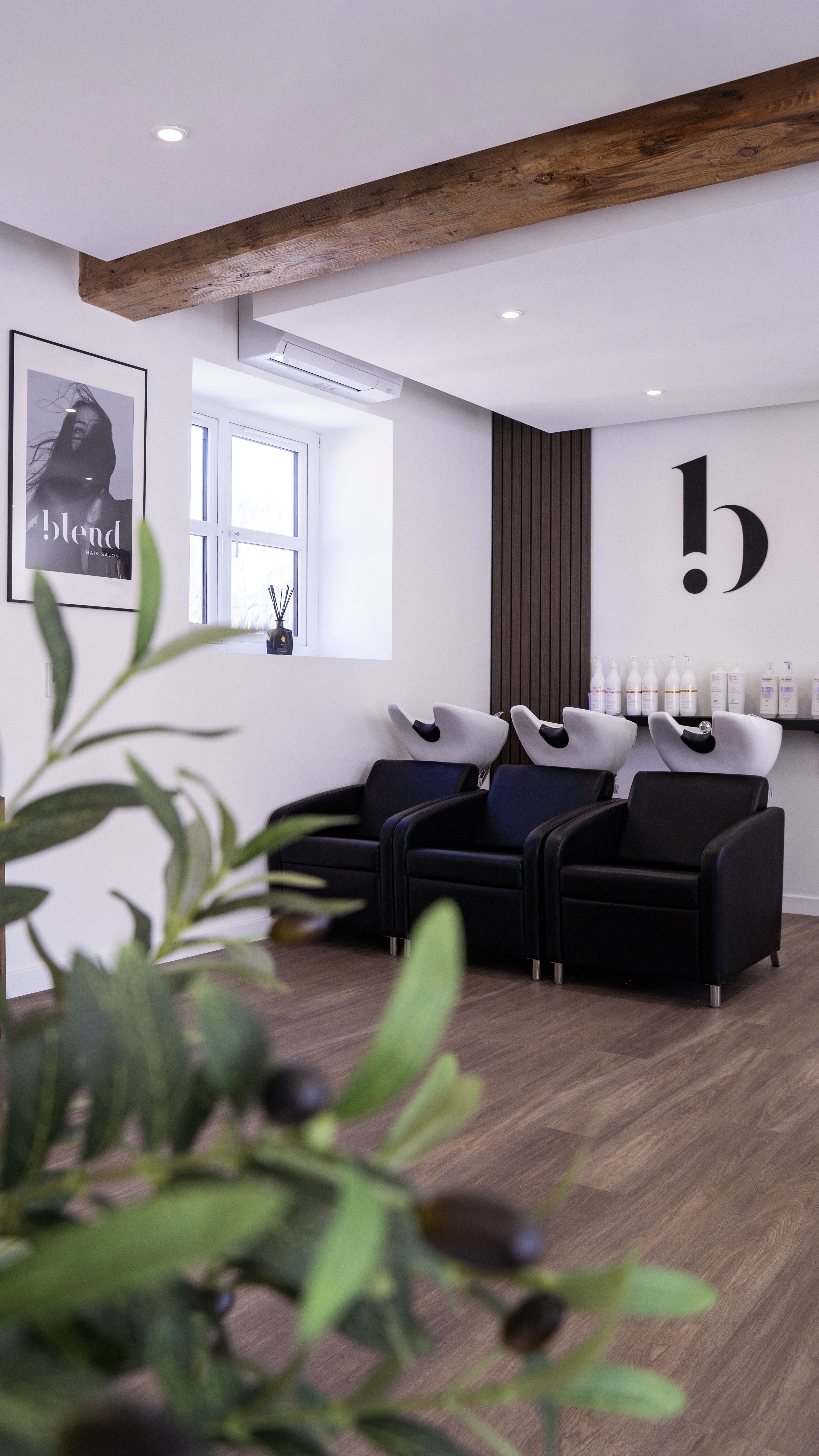 Salon Design Of The Month: Blend Hair
