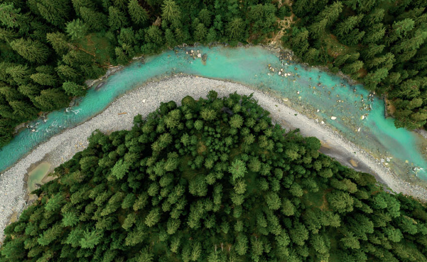 What Your Most Loved Brands Are Doing to Become More Sustainable