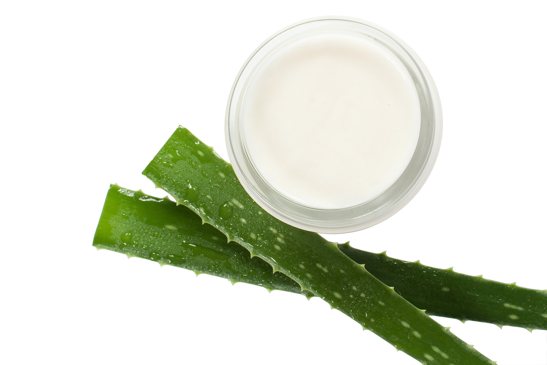 How to make your salon business more eco-friendly & sustainable