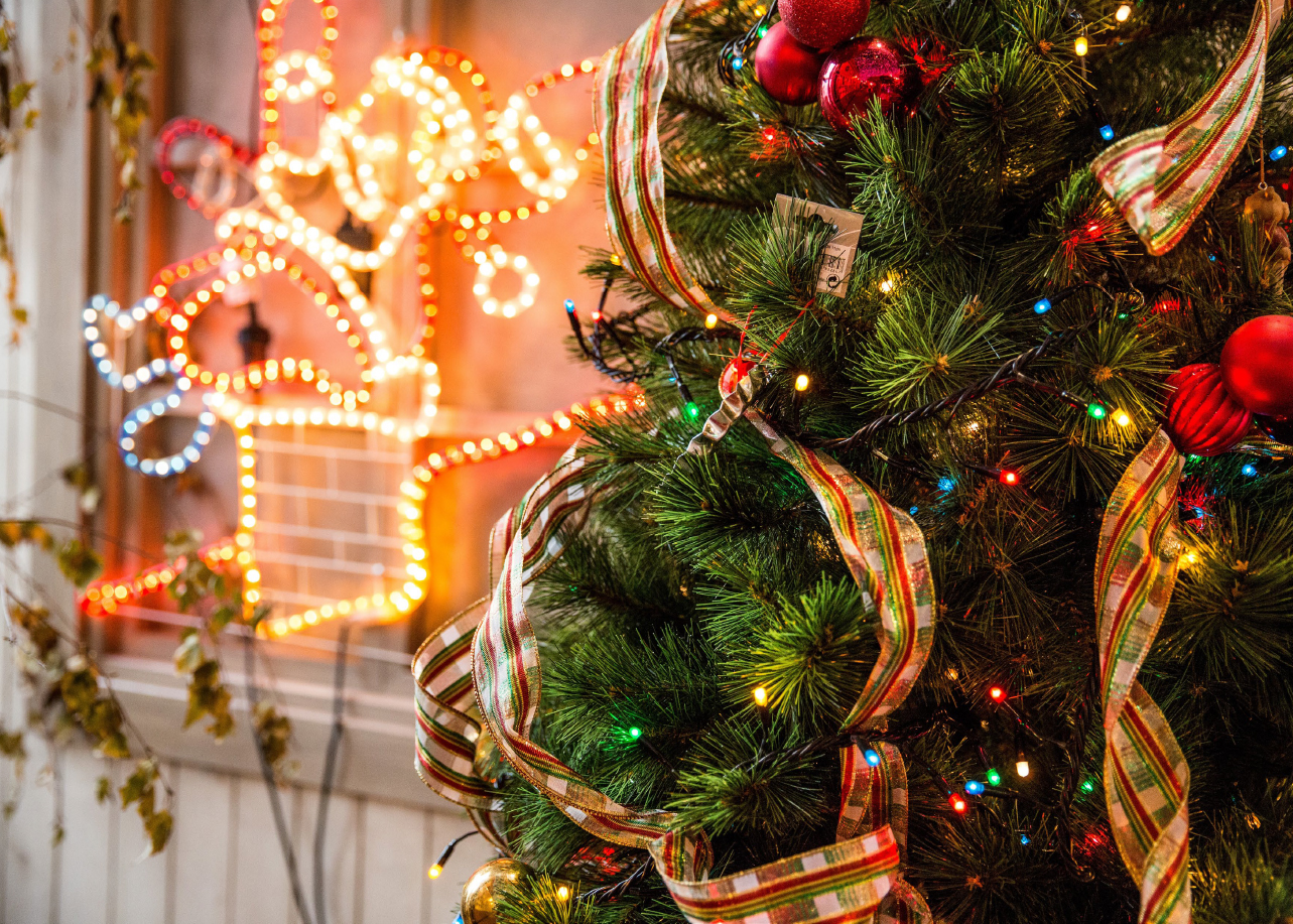 Christmas tree and lights 