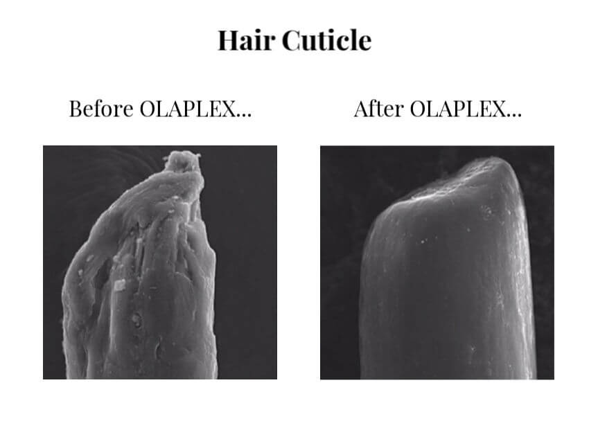 OLAPLEX Before & After hair cuticle 