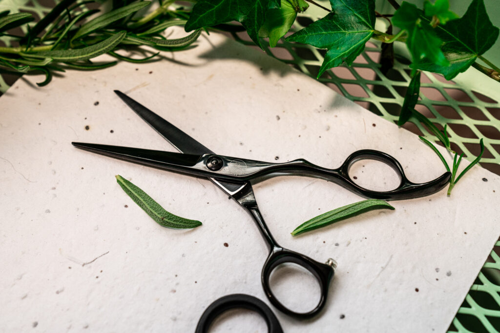 Leaf black edition scissor
