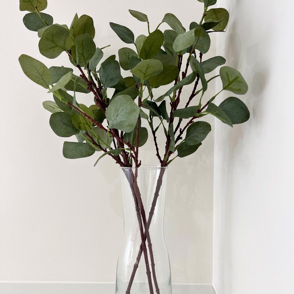 Plant in corner of Salon