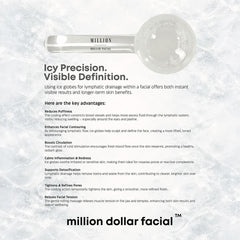 Million Dollar Ice Globes x 2