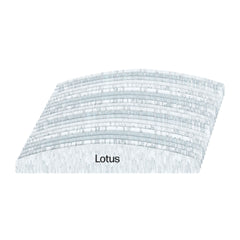 Lotus Half Moon Zebra Refill File 100/100 Grit Pack of 20