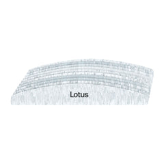 Lotus Half Moon Zebra File 100/100 Grit Pack of 10