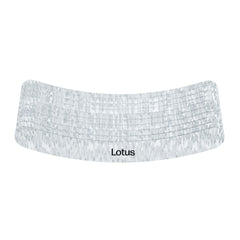 Lotus Zebra Curved File 100/100 Grit Pack Of 10
