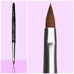 Brillbird Brush - 3D