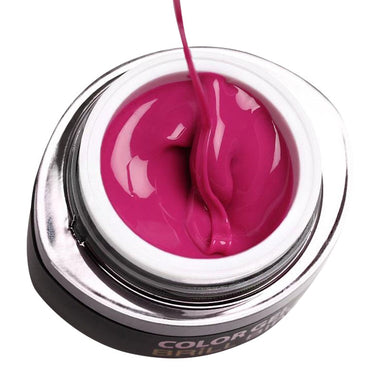 Brillbird Brush & Go Colour Gel GO40 4.5ml