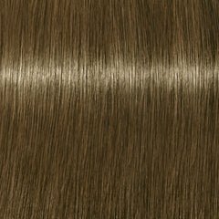 Indola Profession 60ml 8.18 Light Blonde Ash Chocolate