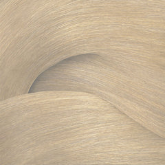 Redken Shades EQ Bonder Inside 60ml 010G Lemon Icing