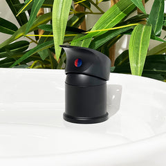 Lotus Complete Mixer Tap Set Black