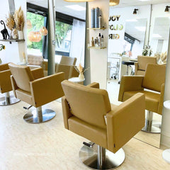 Lotus Phoenix Biscuit Styling Chair Wireless Motorised Base