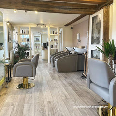 Lotus Darcy Taupe Styling Chair Round Gold Base