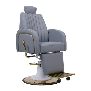 Lotus Darcy Grey Beauty/Barber Chair