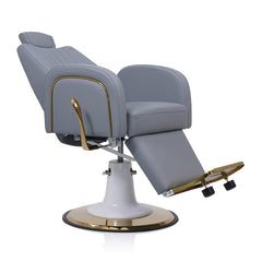 Lotus Darcy Grey Beauty/Barber Chair
