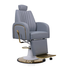 Lotus Darcy Grey Beauty/Barber Chair