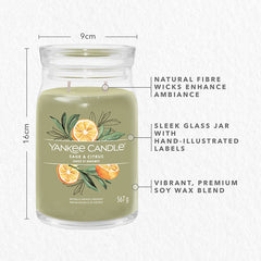 Yankee Candle Signature Sage & Citrus Large Jar Candle