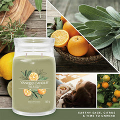 Yankee Candle Signature Sage & Citrus Large Jar Candle