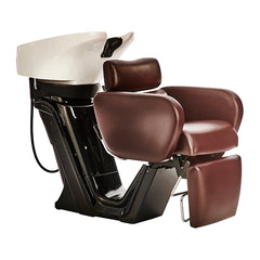 Takara Belmont RS Primo Wash Unit