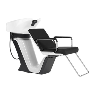 Takara Belmont RS Adria II Wash Unit