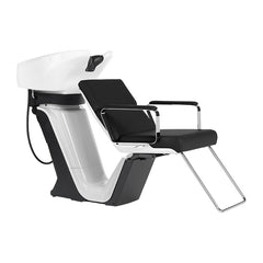 Takara Belmont RS Adria II Wash Unit