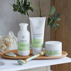 Elements Gentle Renewing Shampoo without Silicones 250ml by Wella Professionals