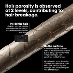 Serie Expert METAL DETOX Pre-Shampoo Treatment 250ml by L’Oréal Professionnel