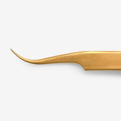 Navy Professional Alice Curve Tweezer