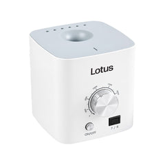 Lotus Desktop E-file