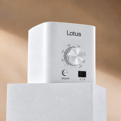 Lotus Desktop E-file