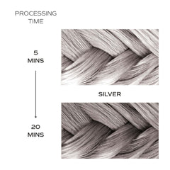 Danger Jones Artistic Toner Silver 90ml