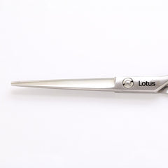 Lotus Primero Slice 5" Classic Scissor