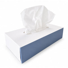 SkinMate Facial Tissues x100 2ply 21x21cm