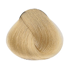 Alfaparf Evolution of The Color Permanent Hair Color 60ml 11.00 Platinum