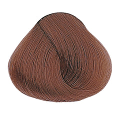 Alfaparf Evolution of The Color Permanent Hair Color 60ml 6.562 Dark Blonde Mahogany Red Violet