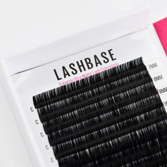 LashBase Enhance 0.15mm D 8mm - 15mm Lash Tray