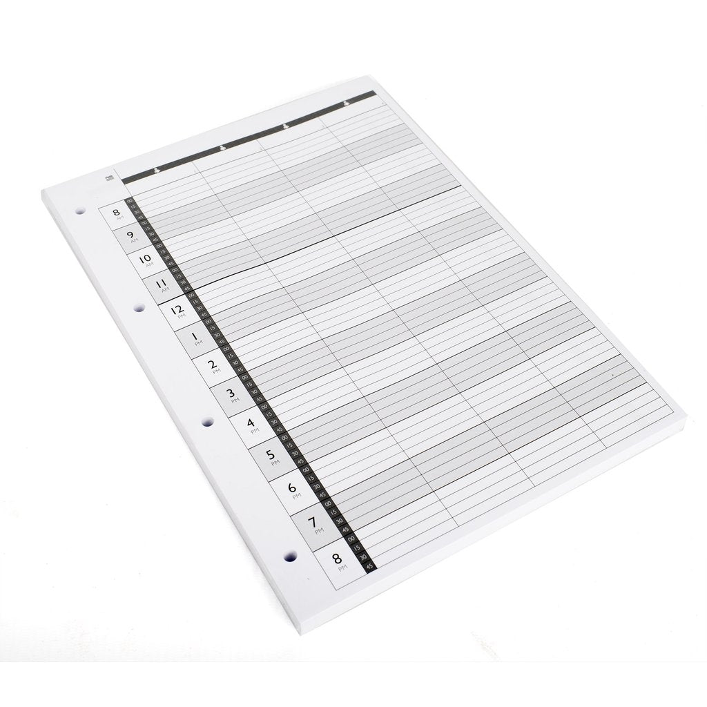 Agenda Loose Leaf Appointment Pages 4 Assistant (x 100)