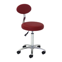 REM Cutting/Beauty Therapist Stool with Backrest