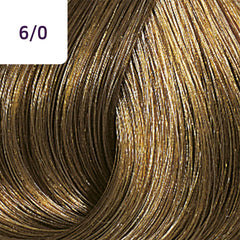 Wella Color Touch 60ml 6/0 Dark Blonde