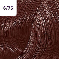 Wella Color Touch 60ml 6/75 Dark Brunette Mahogany Blonde