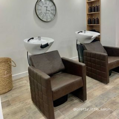 Lotus Washington Brown Backwash Unit