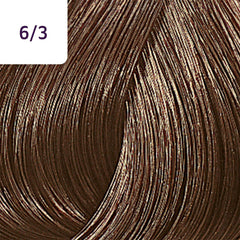 Wella Color Touch 60ml 6/3 Rich Naturals Dark Gold Blonde