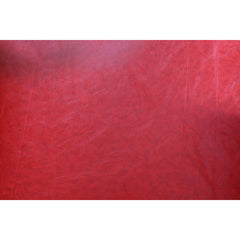 Lotus Raleigh Barber Chair Red