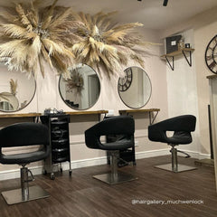 Lotus Corby Black Styling Chair Square Silver Base