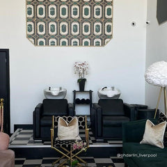 Lotus Murray Black Backwash Unit